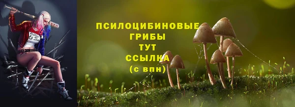 ГАЛЛЮЦИНОГЕННЫЕ ГРИБЫ Алексин